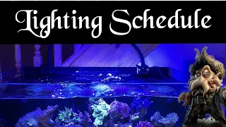 Reef Aquarium - eaReef Pro 900 - Episode 38 - Lighting Schedule