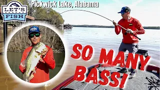 LOOK how this bass ate my lure! Let's Fish #23-2021 SouthEAST Pickwick Lake, Alabama