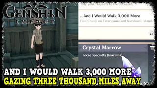 Gazing Three Thousand Miles Away Quest Guide Genshin Impact (And I Would Walk 3,000 More Achievement