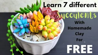 7 cute succulents using homemade clay/Art and Craft/Craft idea/CreativeCat/Home decor idea