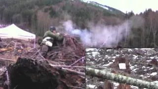 Parker Hale P53 Enfield Musket Shooting at a Gong at 250m