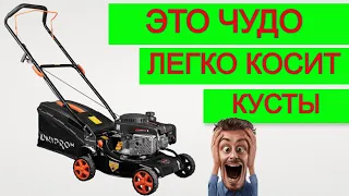 ПЗДЦ 😵 Экономная Газонокосилка Бензиновая Днипро М | Тест