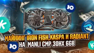 Майнинг Pepe POW, Iron Fish, Kaspa и Radiant на Manli CMP 30 HX 6GB
