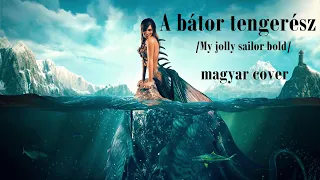 A Bátor Tengerész (Pirates of the Caribbean:On Stranger Tides - My Jolly Sailor Bold magyar cover)