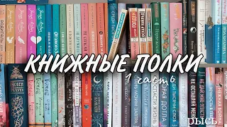 книжные полки 1 часть; мои книги🫂💗