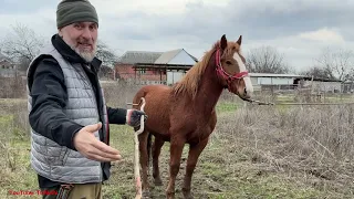 Часть 1,Обучения с Ноля,с чего начать, Советский тяжеловоз