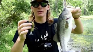 Savage gear bluegill swimbait review...didnt go as planned!