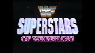 WWF Superstars - June 8, 1991
