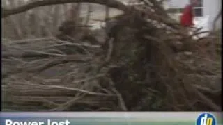 Delaware Online News Video: Storm knocks down trees