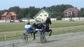 10. 08. 2019 Заезд №5 (69). Приз "Большой Курганский" (ДЕРБИ)