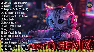 DJ Disco Remix Club Music Songs Mix 2024 - Say You'll Never , I Like Chupin - PARTY DJ REMIX 2024