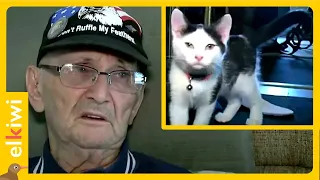 La increíble historia del gatito que le salvó la vida a su anciano dueño