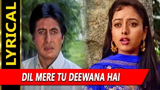 Dil Mere Tu Deewana Hai With Lyrics | सूर्यवंशम | के. एस. चित्रा | Amitabh Bachchan, Soundarya