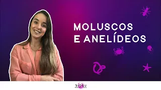 MOLUSCOS E ANELÍDEOS - ZOOLOGIA I Prof. Louise Medeiros