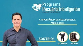 PECUARIA INTELIGENTE - A IMPORTÂNCIA DA ÁGUA DE BEBIDA DO GADO I AO VIVO - 01/04/2024