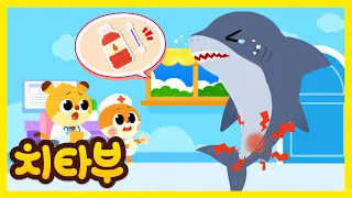 꼬리를 다쳤어요! 상어를 치료해주세요! 🚑🏥 | 재미있는 바다동물 모음집 모아보기 |  #치타부