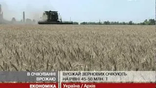 Експорт зерна з України в наступному маркет...