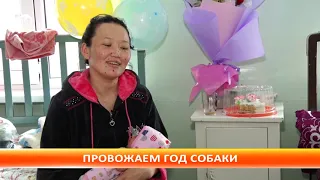 Провожаем год собаки