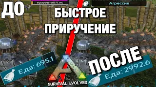 ГАЙД ПО ARK MOBILE!!! КАК УСКОРИТЬ ПРОЦЕС ПРИРУЧЕНИЯ В АРК!! ГАЙД В СОЛО РЕЖИМЕ БЫСТРОЕ ПРИРУЧЕНИЕ !