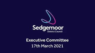 Executive Committee 17th March 2021