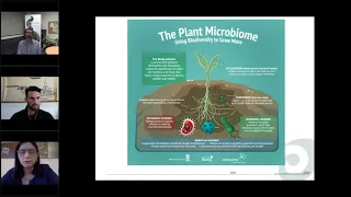 At the cutting edge: Advancements in biopesticides for profitable vegetable production (webinar)