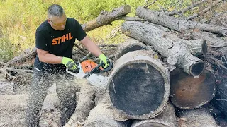 Bucking Up an Old Pile of Logs