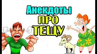 Анекдоты про тещу. Смешные анекдоты.