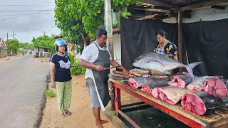 Amazing!! Very Pleasant Rural Village Fish Market In Village Sri Lanka