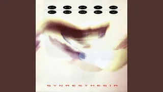 Synaesthesia (Daniel Miller Mix)