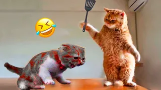 Funny Dogs And Cats Videos 2024 😅 - Best Funniest Animal Videos Of The Month 🥰👌 Part 33