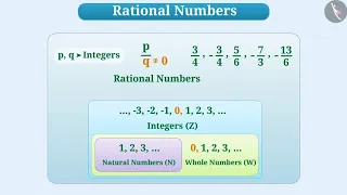 An Introduction to Rational Numbers | Part 1/3 | English | Class 7