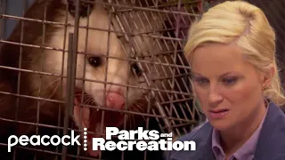 Leslie Does What With A Possum? | Parks and Recreation