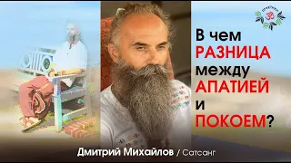 РАЗНИЦА между АПАТИЕЙ и ПОКОЕМ. Дмитрий Михайлов.
