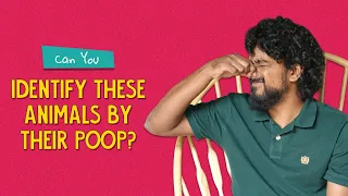 Can You Identify These Animals By Their Poop? | Ok Tested