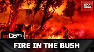 In Depth |  Fire In The Bush Causes Hottest & Driest Year In Australia