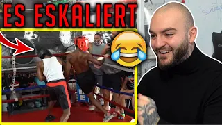 Profi Boxer KNOCKEN sich für 5.000$ aus! Wenn SPARRING Ernst wird😂 - KING CID - RINGLIFE reaction