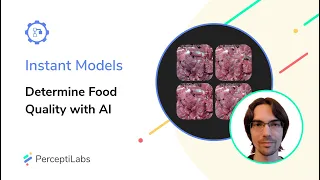 Instant Models: Determine Food Quality with AI