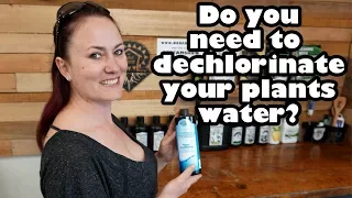 Do you need to dechlorinate your plants water? Carl weighs in. | OCGFAM 233