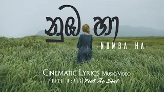 Numba Ha | නුඹ හා |  Unofficial Music Video