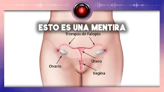 Cosas que los migalos no sabían del cuerpo femenino