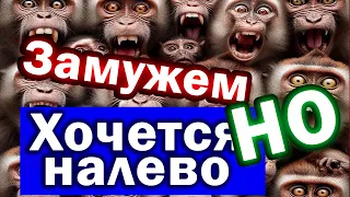 11 Остервенелых макак выдают дичь