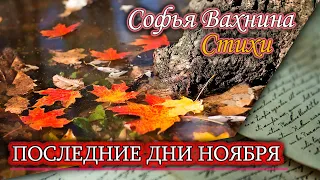 Последние дни ноября. Стихи об осени