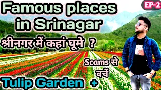 Srinagar tourist places | Places to visit in Srinagar | Tulip garden Kashmir 2023 | Srinagar tourism