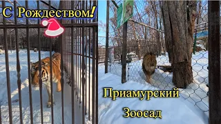 Приамурский Зоосад/Хабаровск /7.01.24/Погода шепчет, тепло/