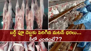 Bird Flu : చికెన్ ఢమాల్.. తెలుగు రాష్ట్రాల్లో మటన్ కి భారీ డిమాండ్ || Oneindia Teugu