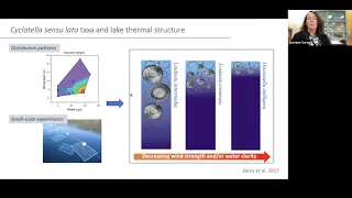 Jasmine Saros - Deciphering climate-lake linkages