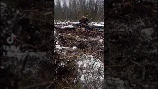 лес бес грязь заморозили тдт 55
