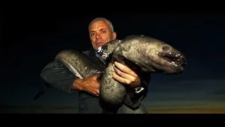 👥 River Monsters - Rencontres Fatales 🔹 Cryptozoologie