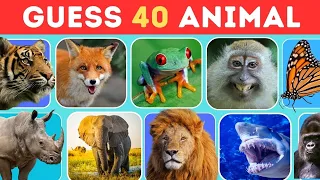 Guess 40 Animals in 3 Seconds | Guess the Animal Quiz