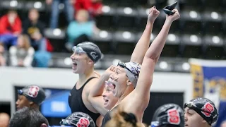 Cal Women's Swimming & Diving: NCAA Championships - Day 2 Recap